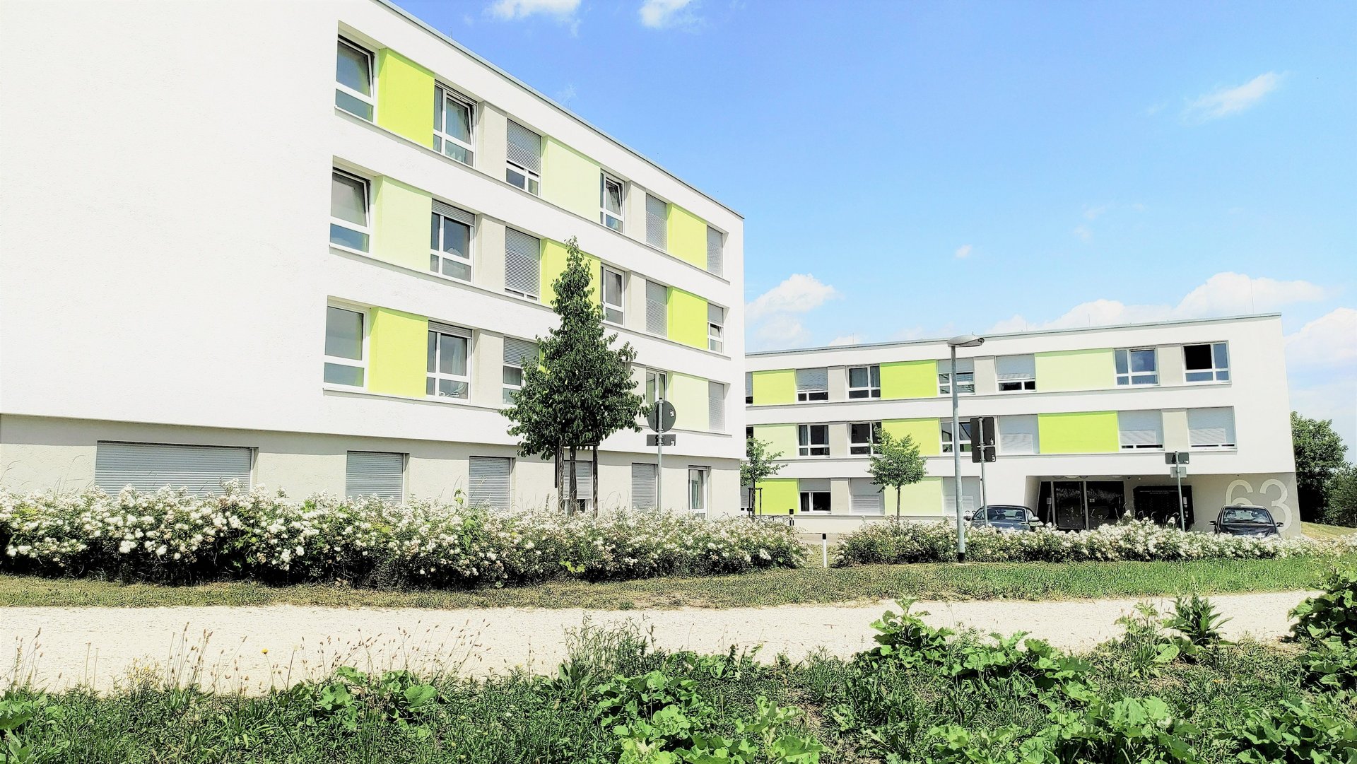 Außenansicht eines Studierendenwohnheims im Sommer mit Gras und Büschen