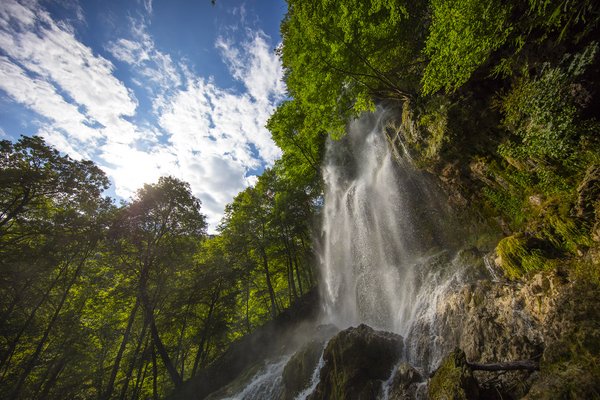 Wasserfall umgeben von Wald